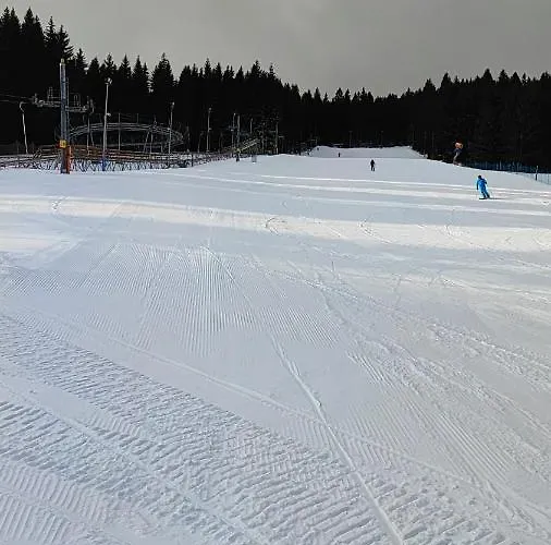 Biala Perla Sunny Mountain 103 시에나