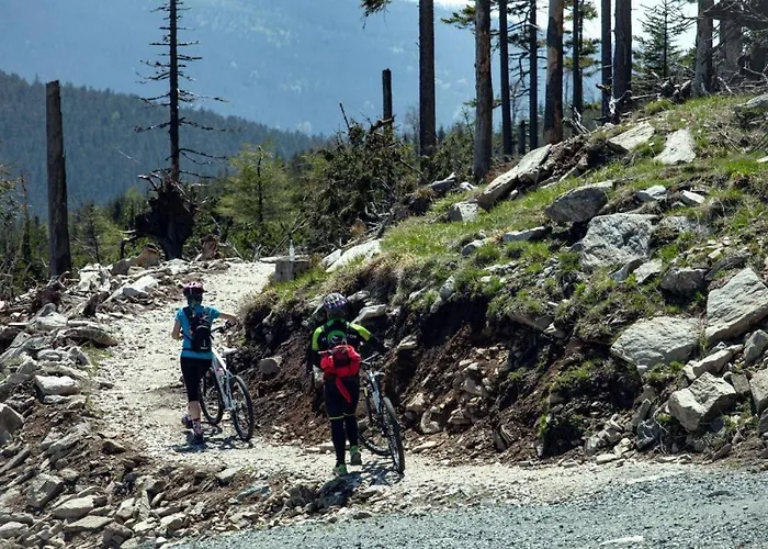 Biala Perla Sunny Mountain 103 아파트